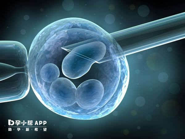 生育科学：卵子捐赠的伦理与医学挑战