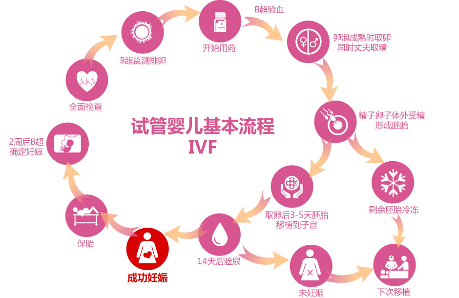 生育科学与社会责任：丽水捐卵志愿者的关键角色